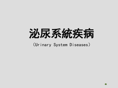 泌尿系统疾病总论
