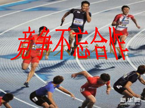人民版九年级思想品德全一册《二单元 共同生活  第五课 这是我的责任》课件_8