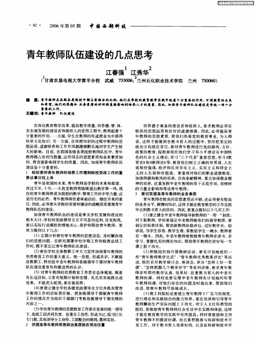 青年教师队伍建设的几点思考