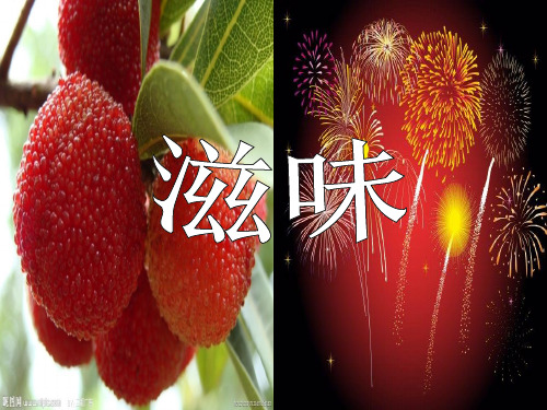 《滋味》ppt课件