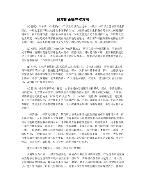 绿萝的正确养殖方法