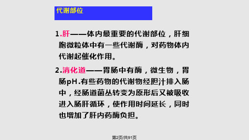 药物代谢与排泄