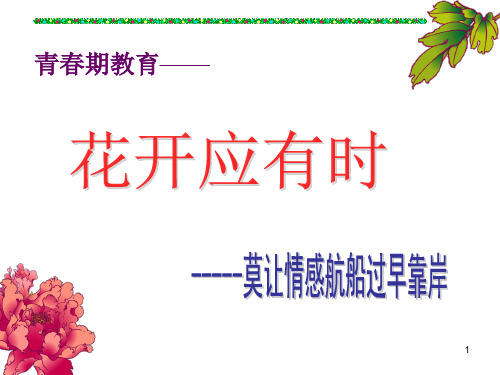 《预防早恋》主题班会ppt课件