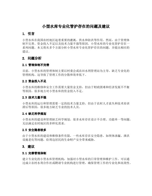 小型水库专业化管护存在的问题及建议