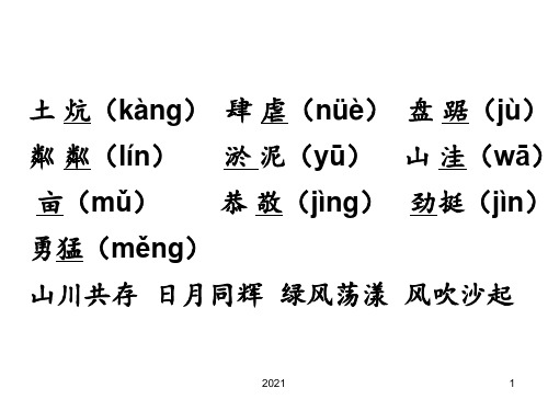 16-青山不老PPT课件