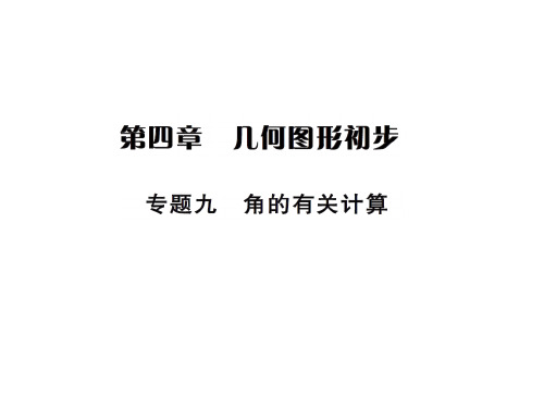 人教版七年级数学上册习题课件：专题九 角的有关计算 (共14张PPT)