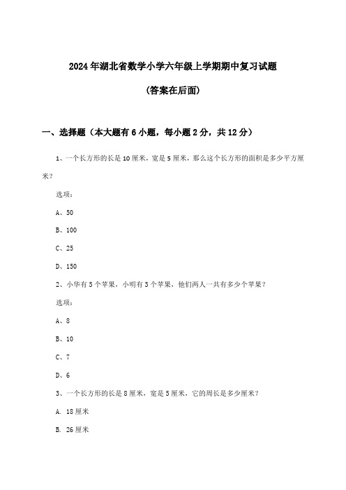 2024年湖北省小学六年级上学期期中数学试题及解答参考