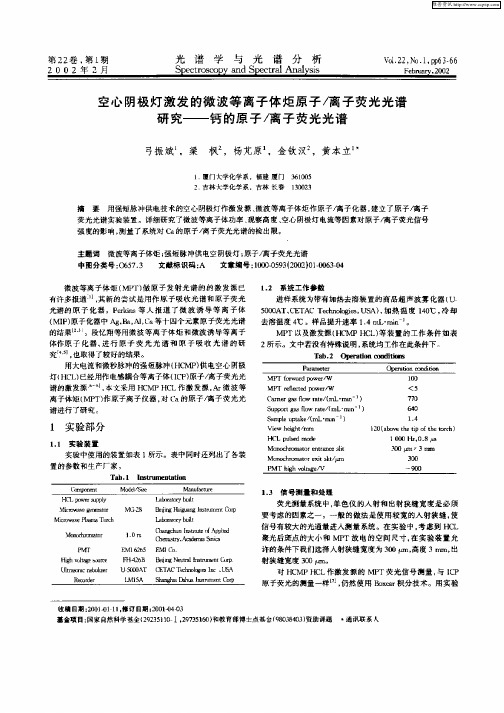 空心阴极灯激发的微波等离子体炬原子／离子荧光光谱研究—钙的原子／离子荧光光谱