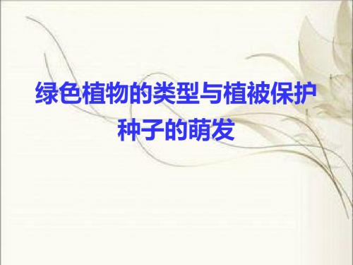 人教版七年级上册生物种子的萌发PPT课件