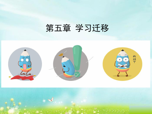 第五章 学习迁移