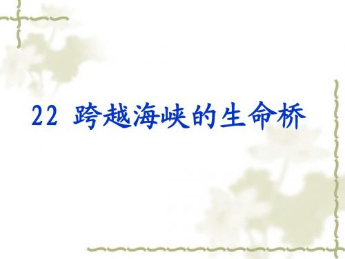 四年级《跨越海峡的生命桥》ppt课件