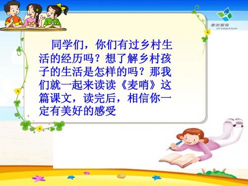 24《麦哨》教学课件