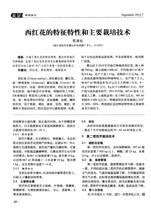西红花的特征特性和主要栽培技术