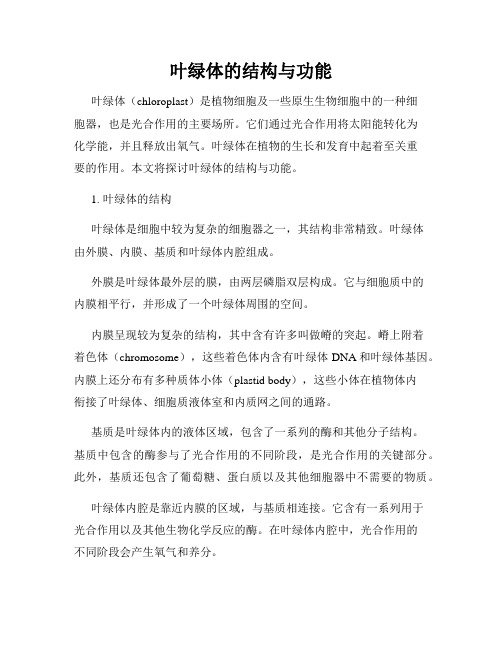 叶绿体的结构与功能