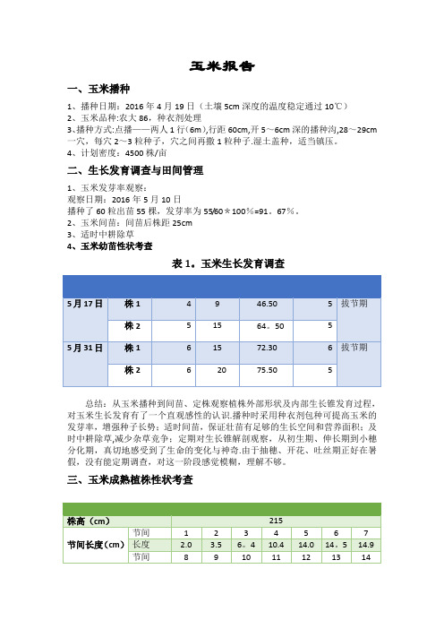 田间实验报告-玉米报告