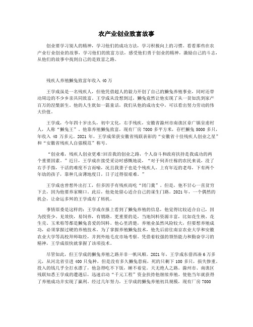 农产业创业致富故事