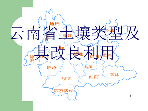 云南土壤类型