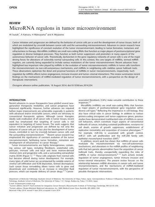 MicroRNA regulons in tumor microenvironment