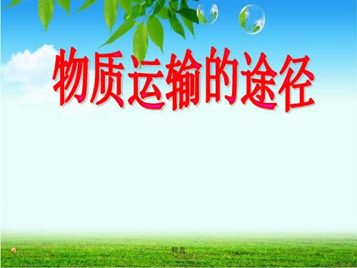 血液循环的途径ppt课件