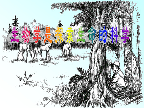 北师大版生物七年级上册第二章《探索生命》全章课件