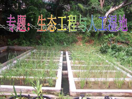 2、潜流人工湿地