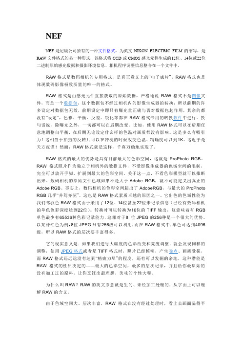 尼康相机nef格式