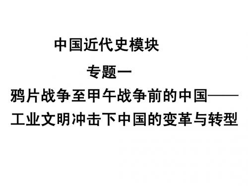 模块二   第1讲   工业文明冲击下中国的变革与转型——两次鸦片战争后的中国(51张ppt) - 副本