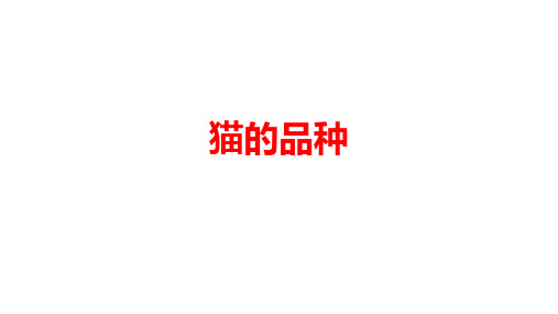 儿童天才小百科识物猫的品种20种