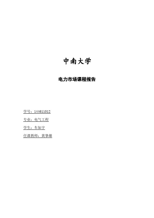 电力市场课程报告