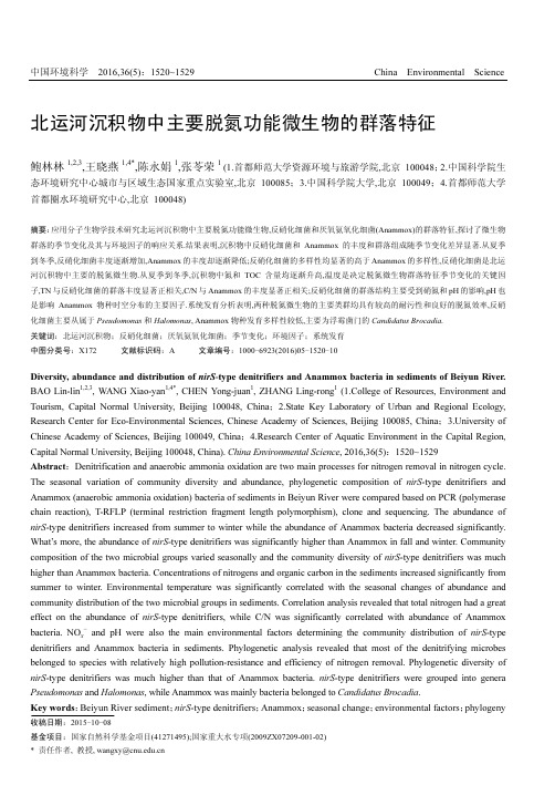 北运河沉积物中主要脱氮功能微生物的群落特征