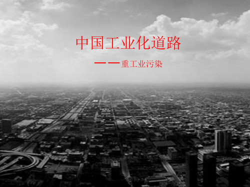 中国工业化的弊端
