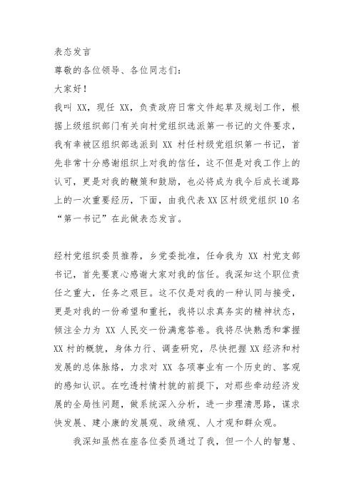 第一书记表态发言
