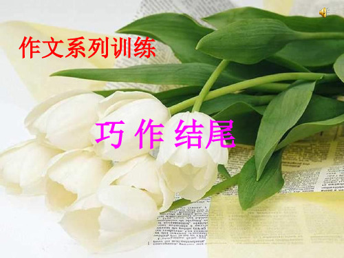 作文训练结尾
