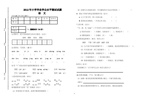 2012年小学毕业学业水平测试试题