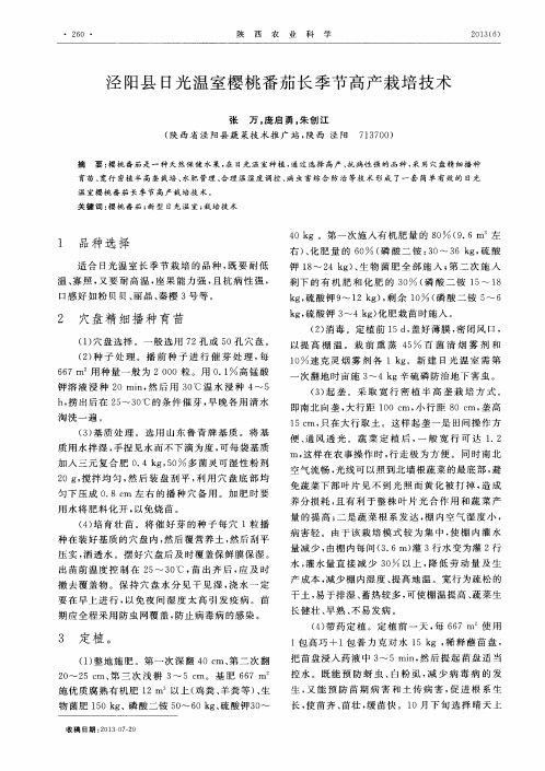 泾阳县日光温室樱桃番茄长季节高产栽培技术
