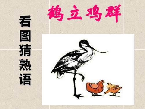 “中华文化的智慧之花——熟语”优秀课件