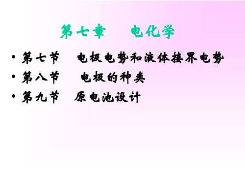 物理化学-电化学3