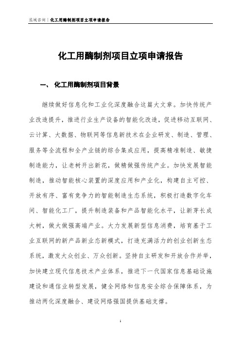化工用酶制剂项目立项申请报告