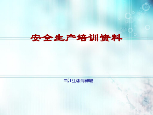 安全生产培训资料PPT(共 43张)