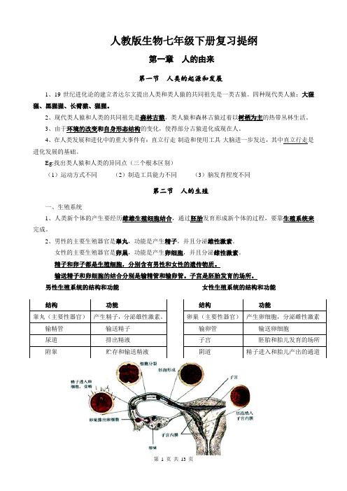 2018年人教版七年级下册生物复习提纲