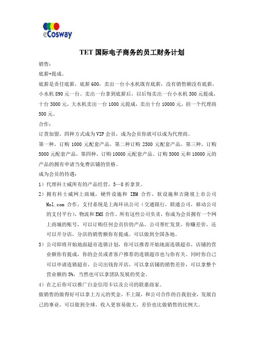 TET国际电子商务的财务计划