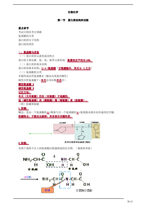 初级药士-基础知识-生物化学(18页)