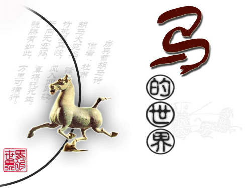 老马识途识一识马的别称知识讲解