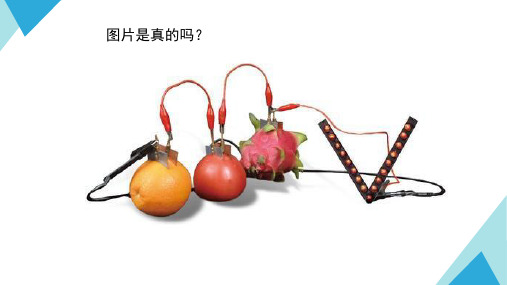 沪粤物理九年级上册第13章5 怎样认识和测量电压  课件(共23张PPT)