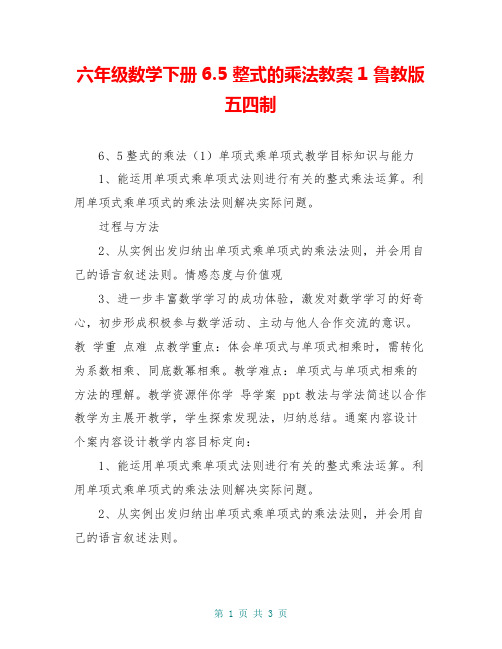 六年级数学下册6.5 整式的乘法教案1 鲁教版五四制