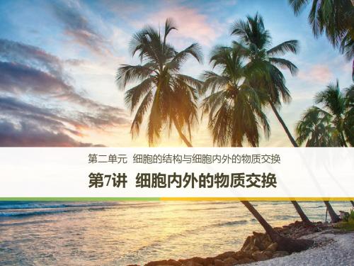 2018届高考生物知识点总复习课件：细胞内外的物质交换