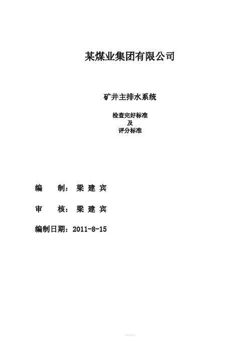 某煤业集团各生产矿井关于主排水系统专项检查标准