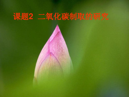 化学人教版九年级上册6.2二氧化碳制取的研究 PPT课件