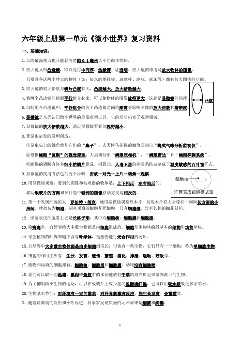 六年级上册科学第一单元《微小世界》复习资料