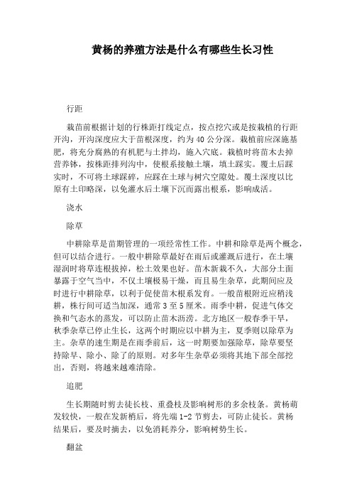 黄杨的养殖方法是什么有哪些生长习性